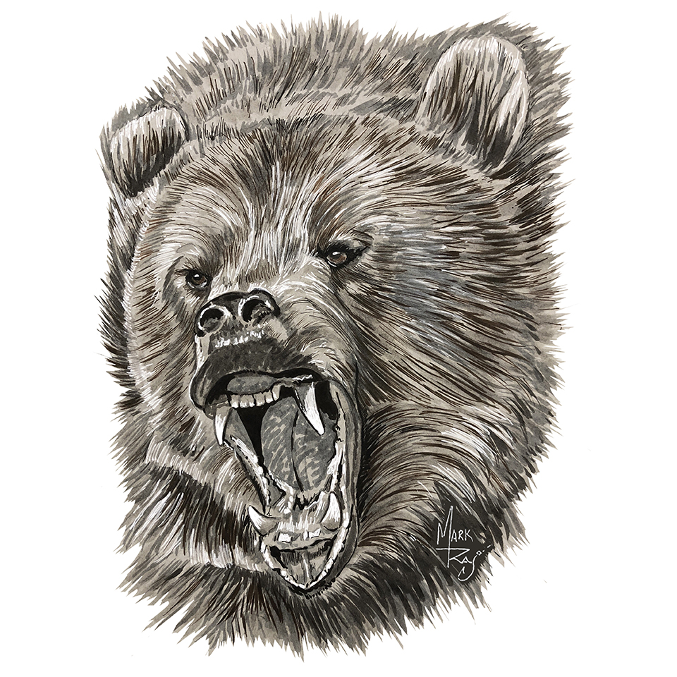 Grizzly Bear Growling - Click Image to Close